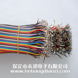 &#29233;&#20307;&#32946;&#23448;&#32593;