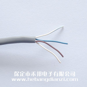 &#29233;&#20307;&#32946;&#23448;&#32593;